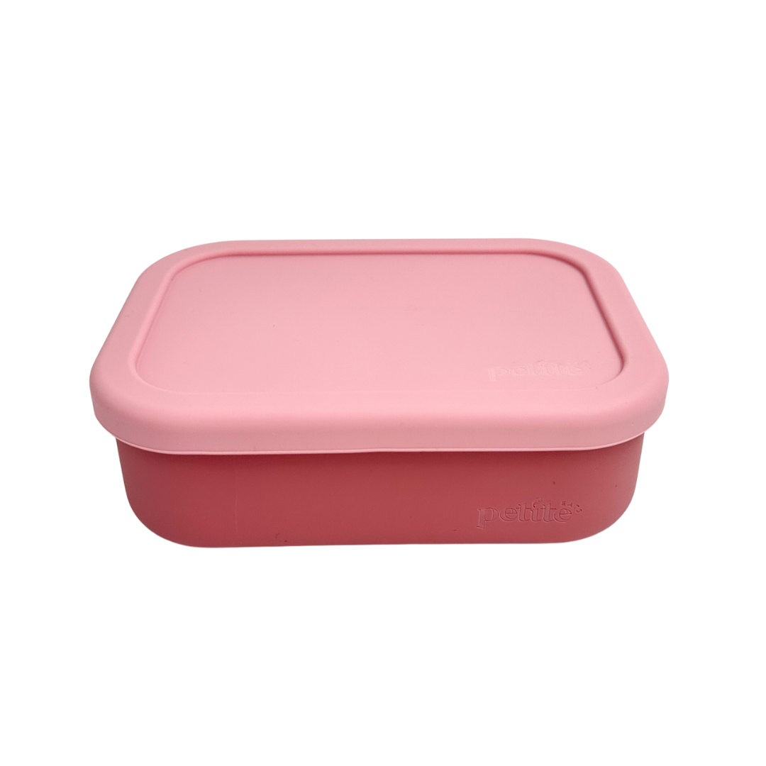 Mini Bento Lunchbox