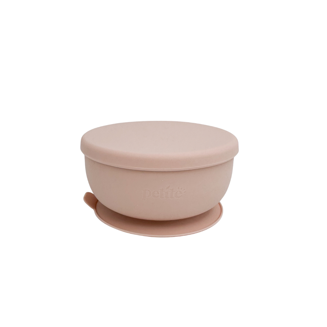 Stainless Steel Bowl with Lid