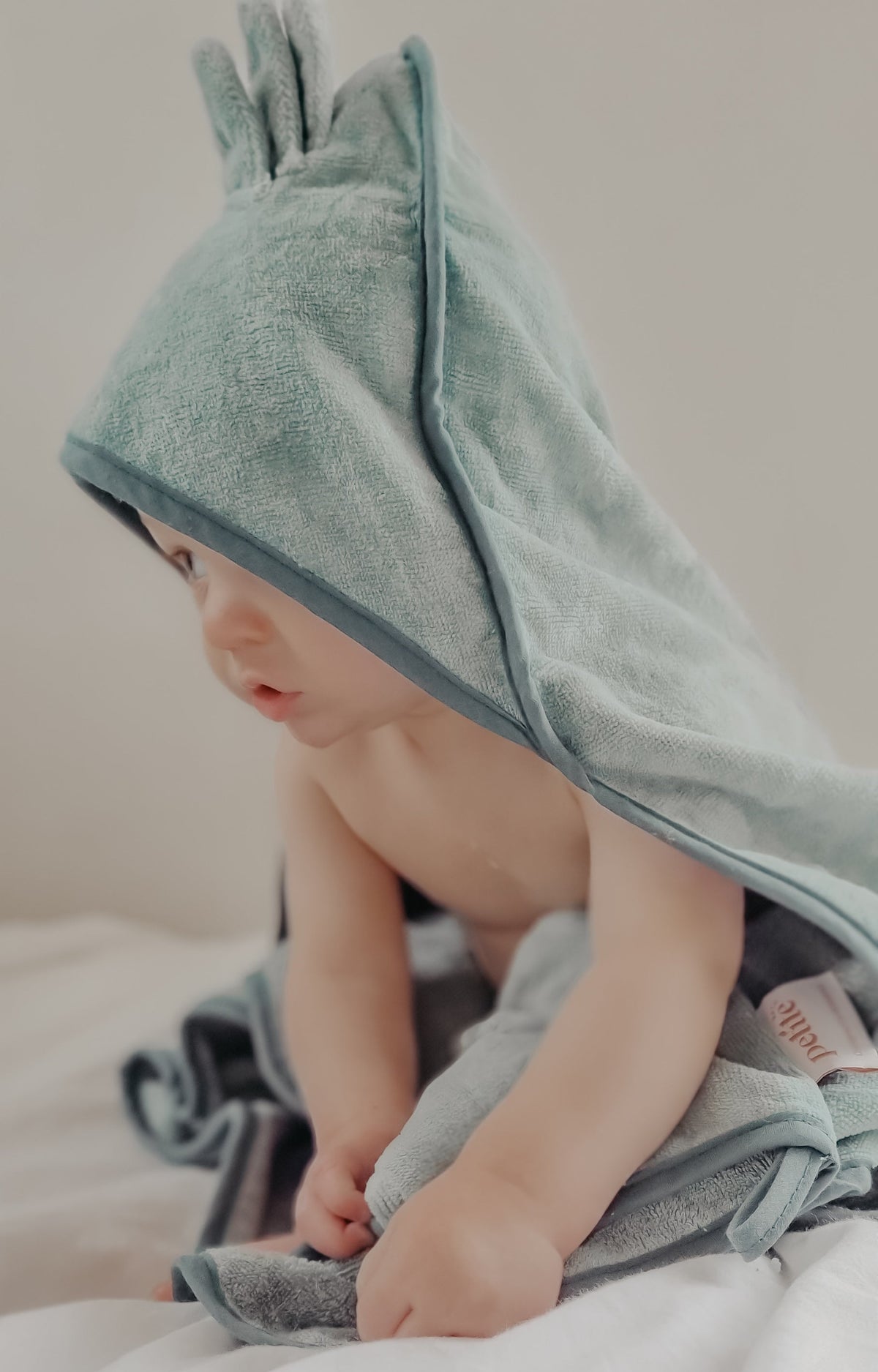 Hooded Towel and Washcloth Set