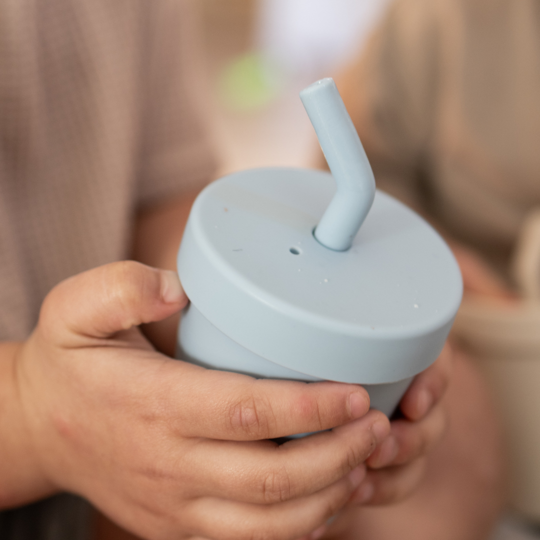 Insulated Smoothie Cup