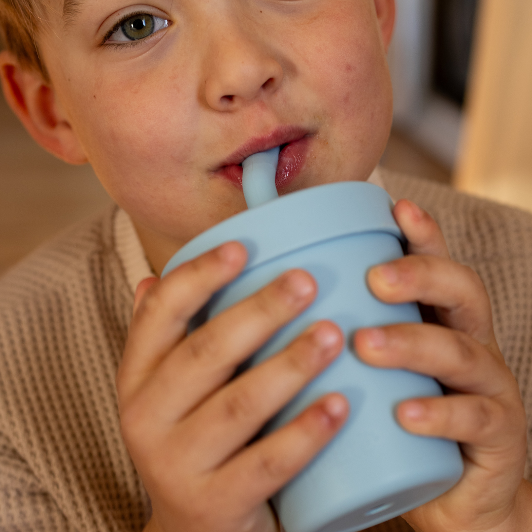 Insulated Smoothie Cup